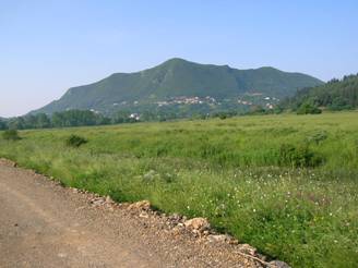 Corfu meadow and mountain